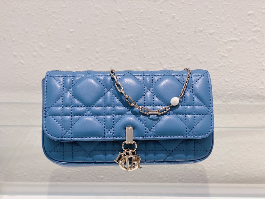 Dior Bag