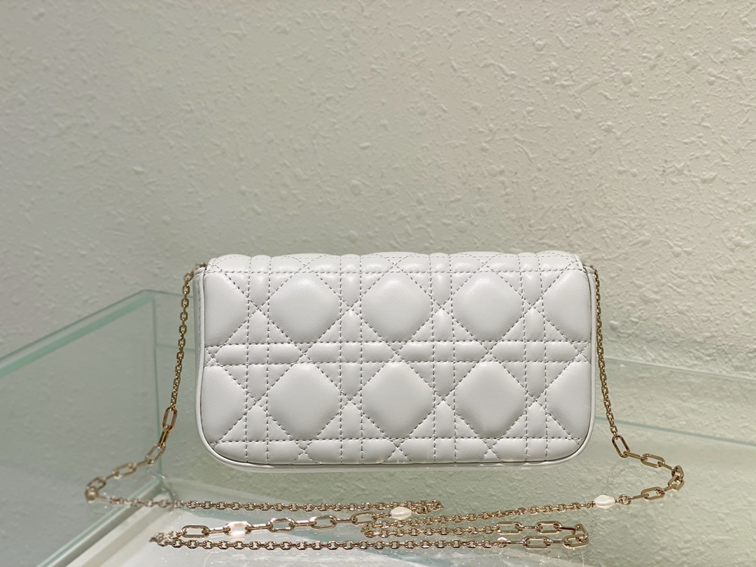 Dior Bag