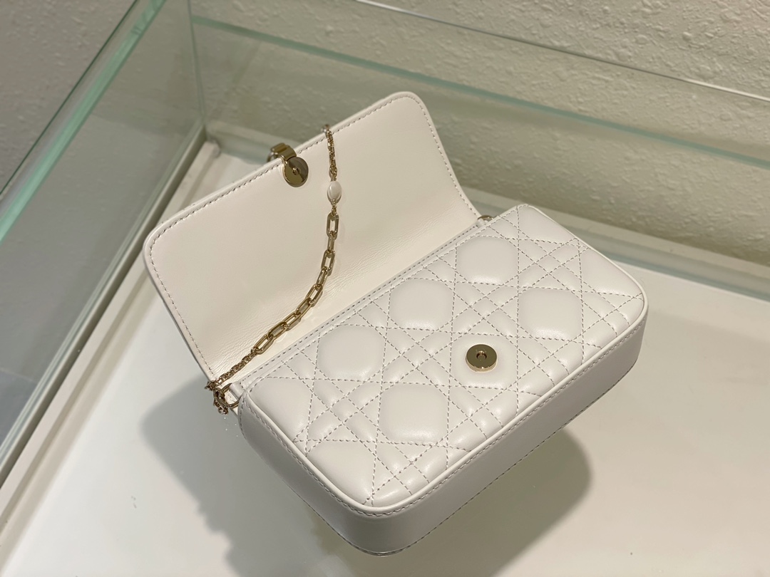 Dior Bag
