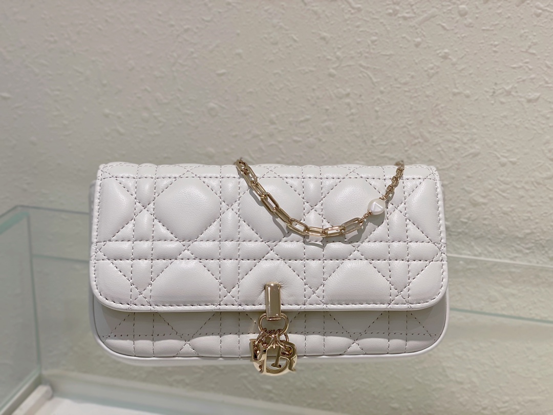 Dior Bag