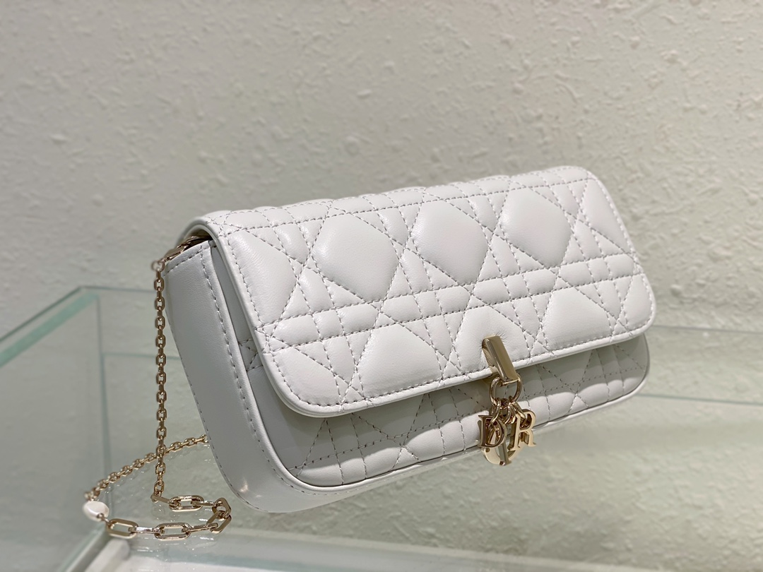 Dior Bag