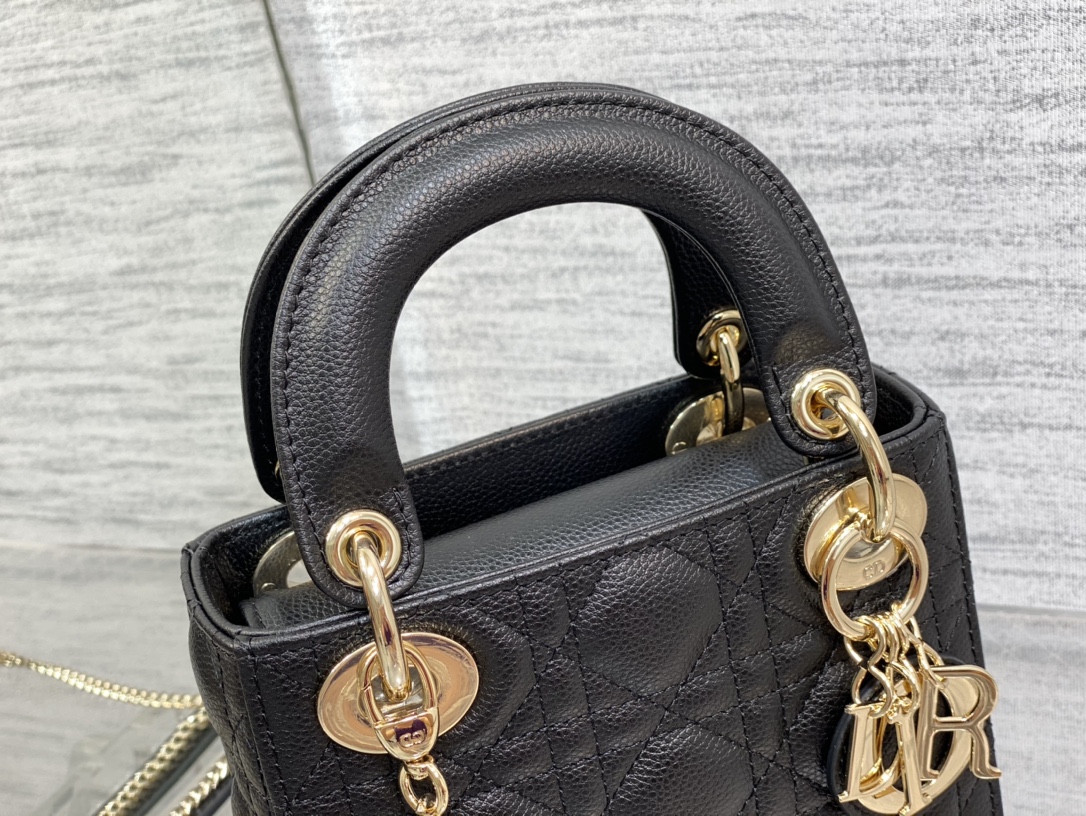 Dior Bag