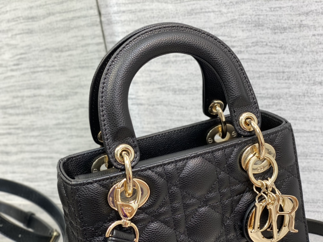 Dior Bag