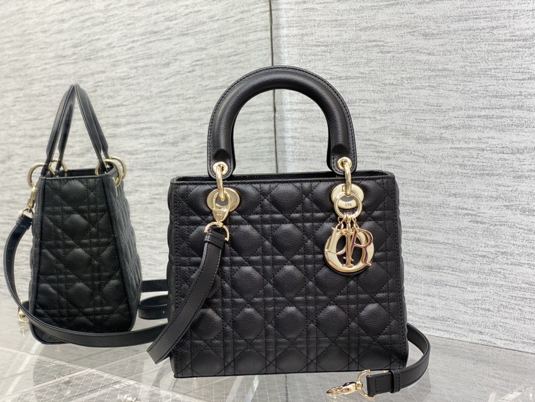 Dior Bag