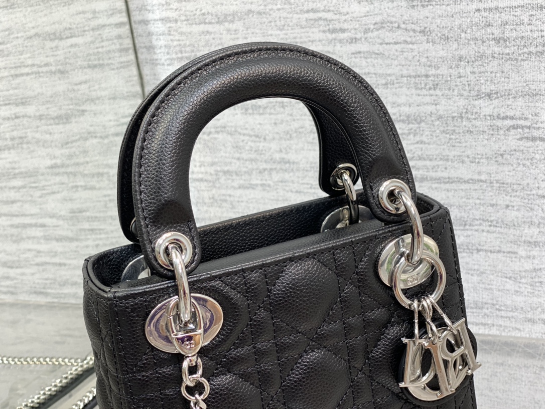 Dior Bag