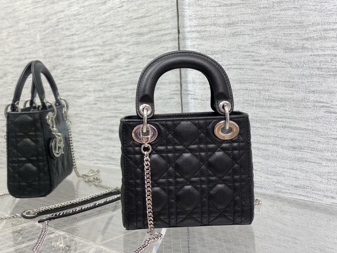 Dior Bag