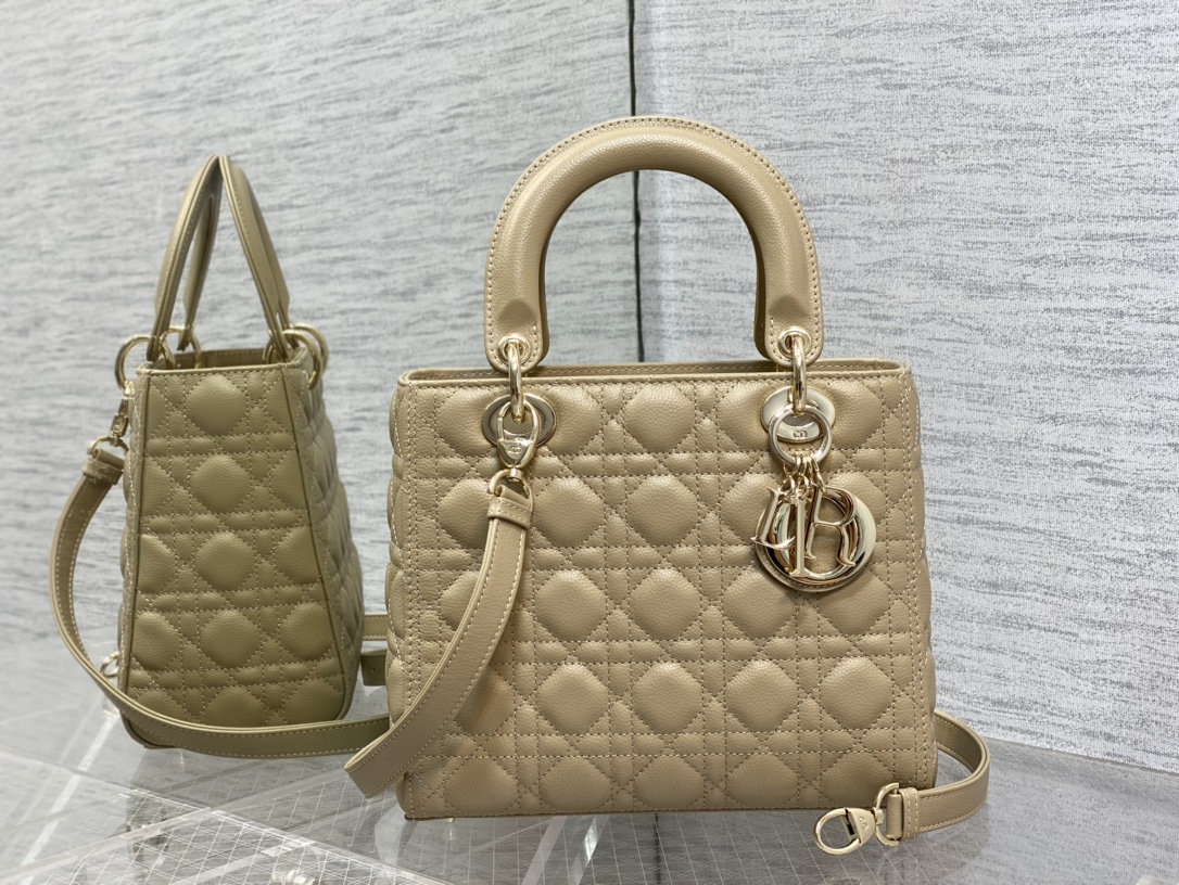 Dior Bag