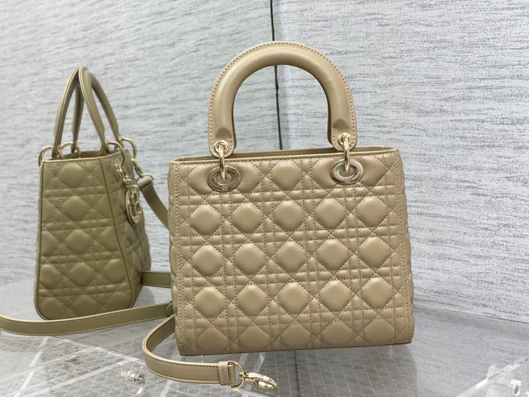 Dior Bag