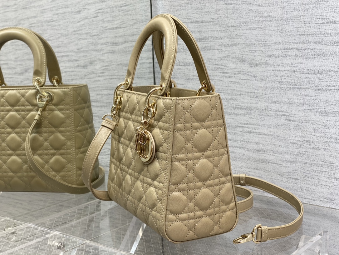 Dior Bag