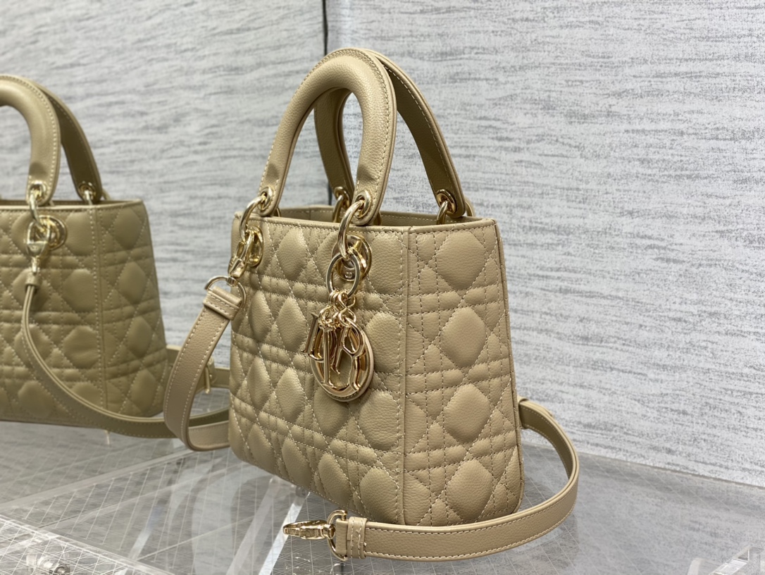 Dior Bag