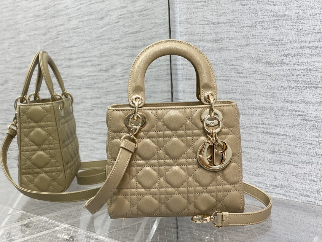 Dior Bag