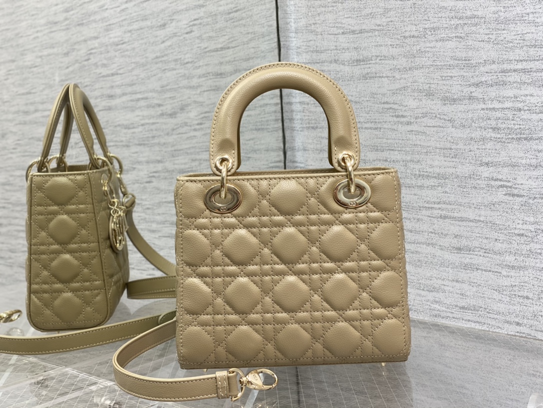 Dior Bag