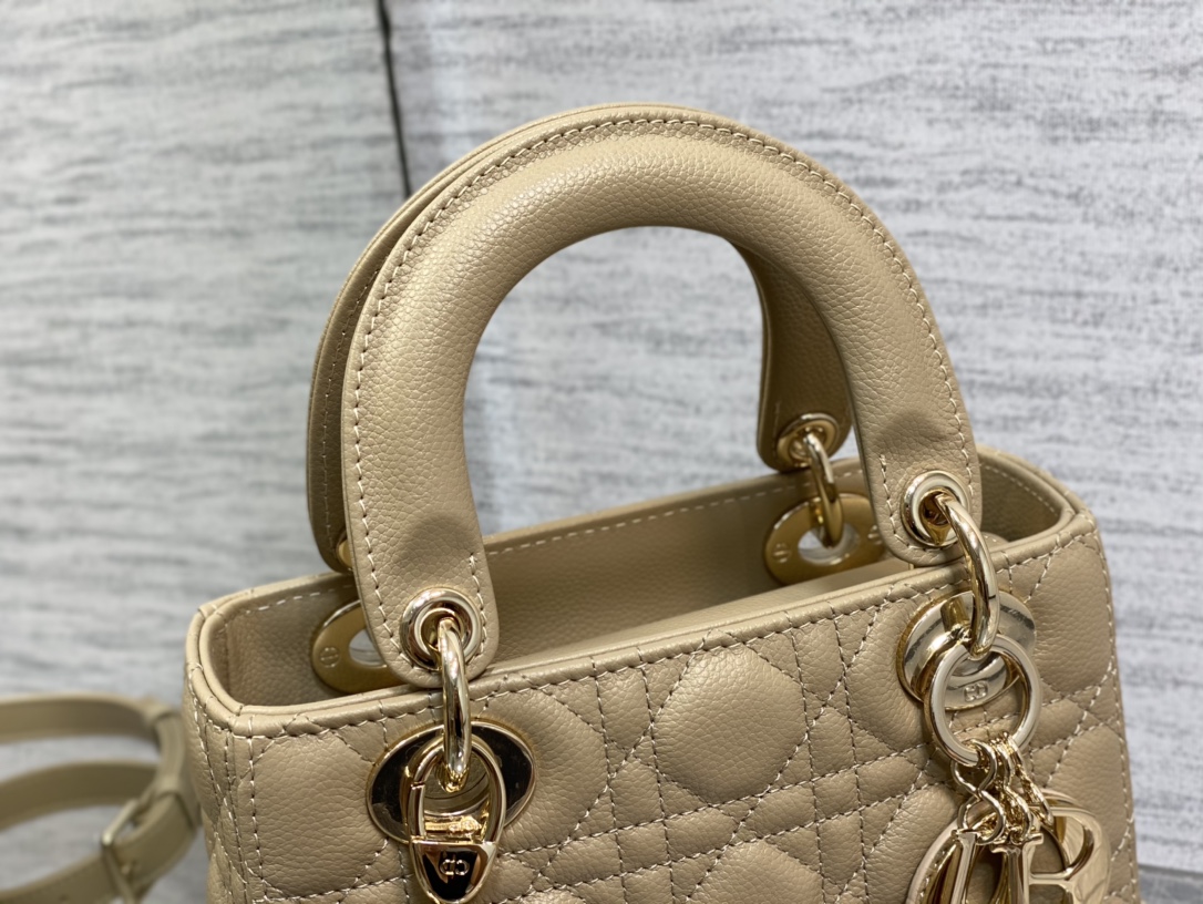 Dior Bag