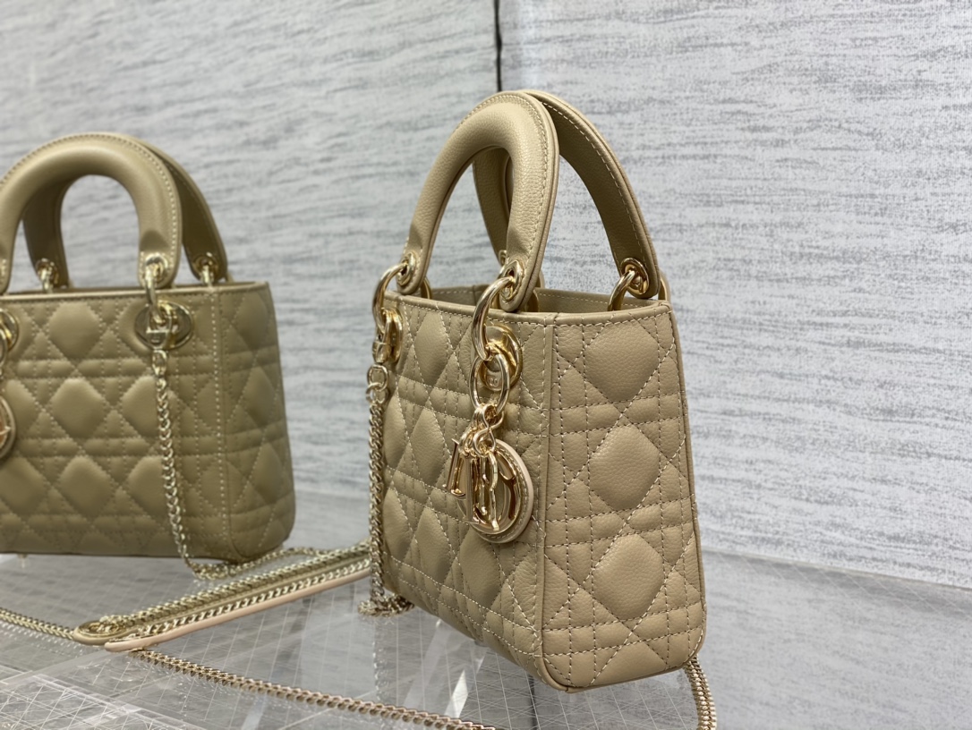 Dior Bag