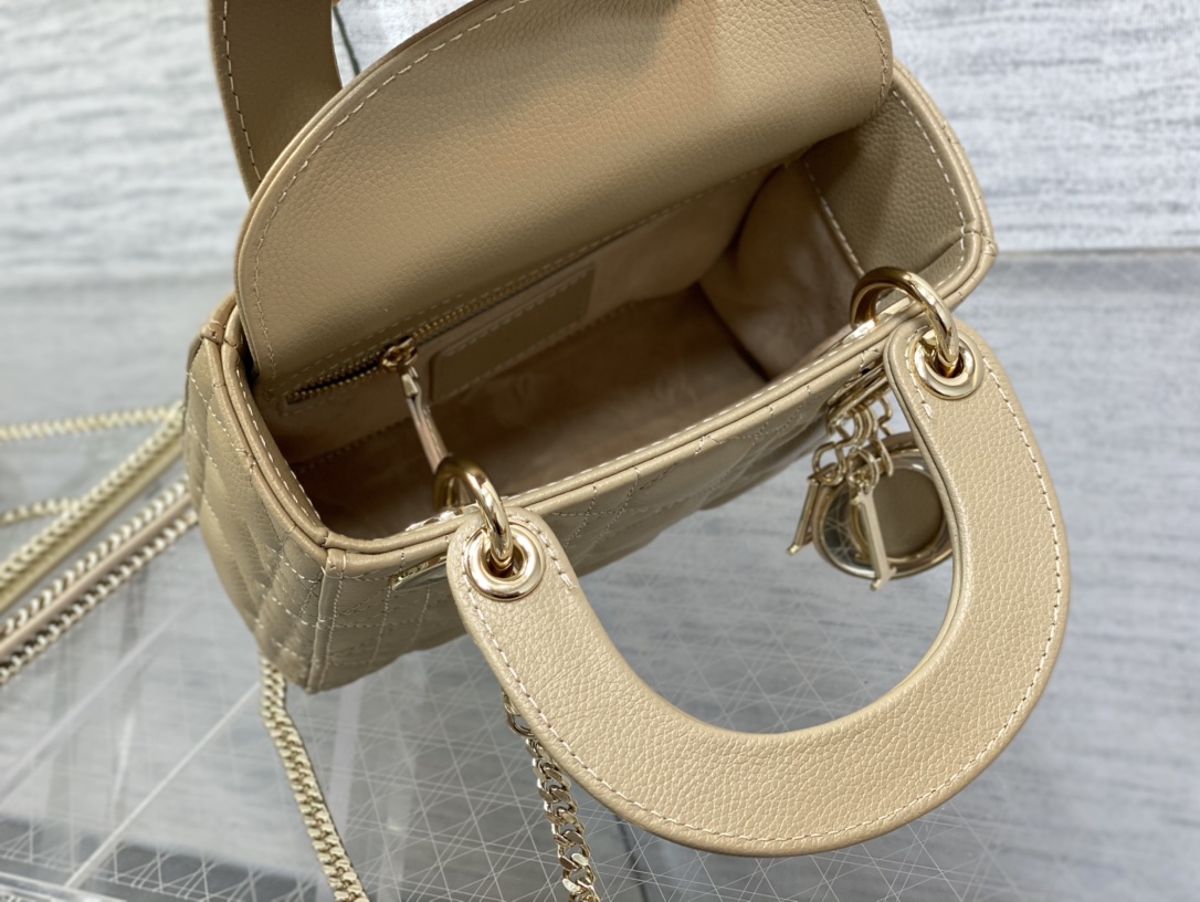 Dior Bag