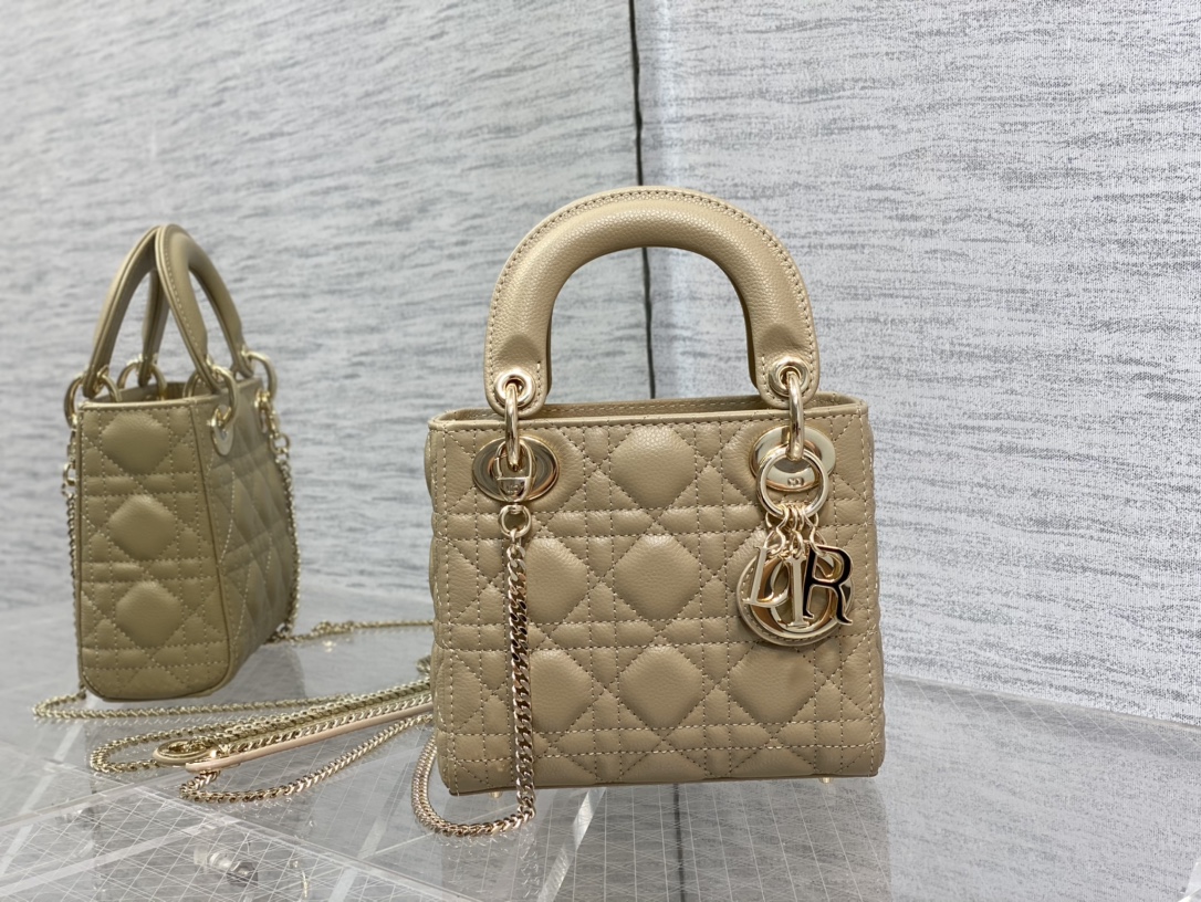 Dior Bag