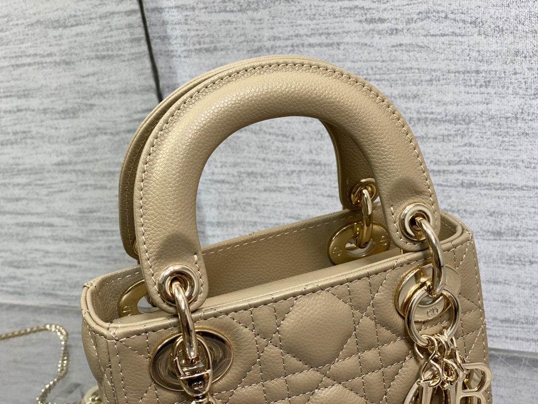 Dior Bag