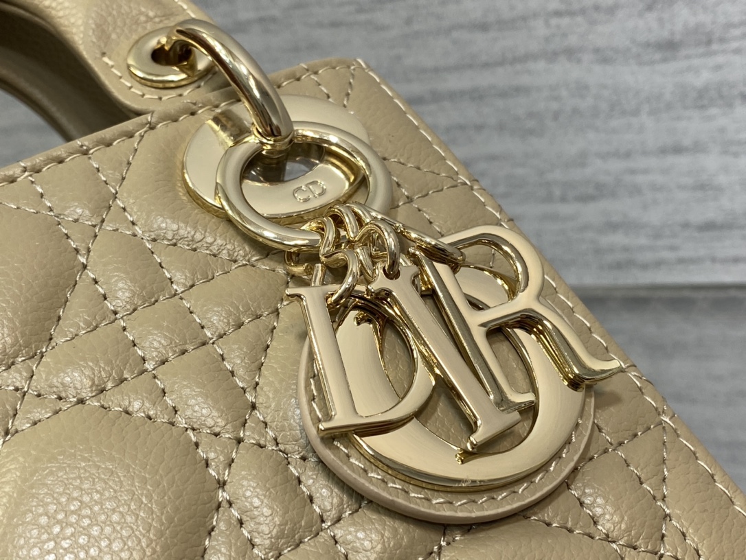 Dior Bag