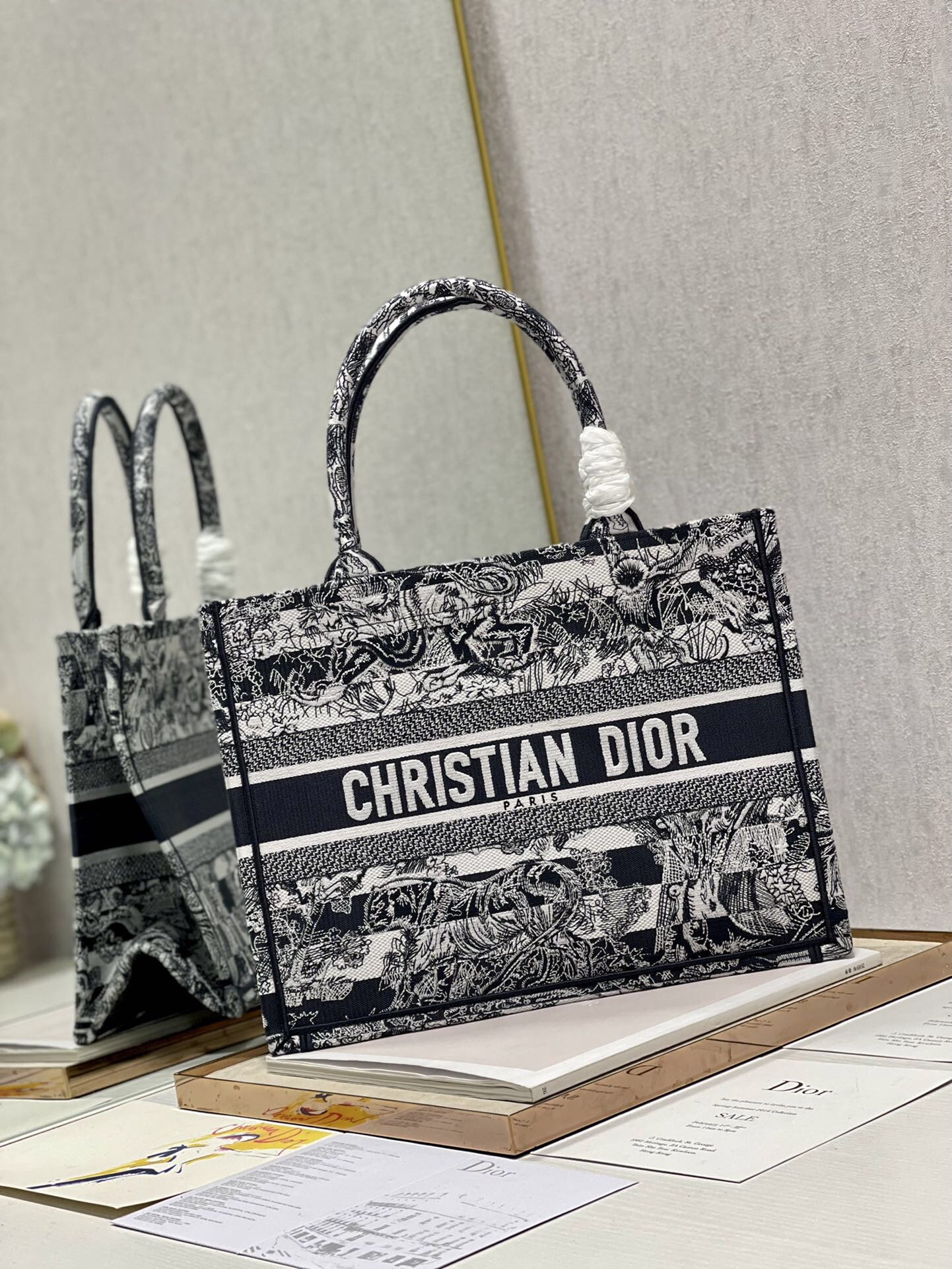 Dior Bag