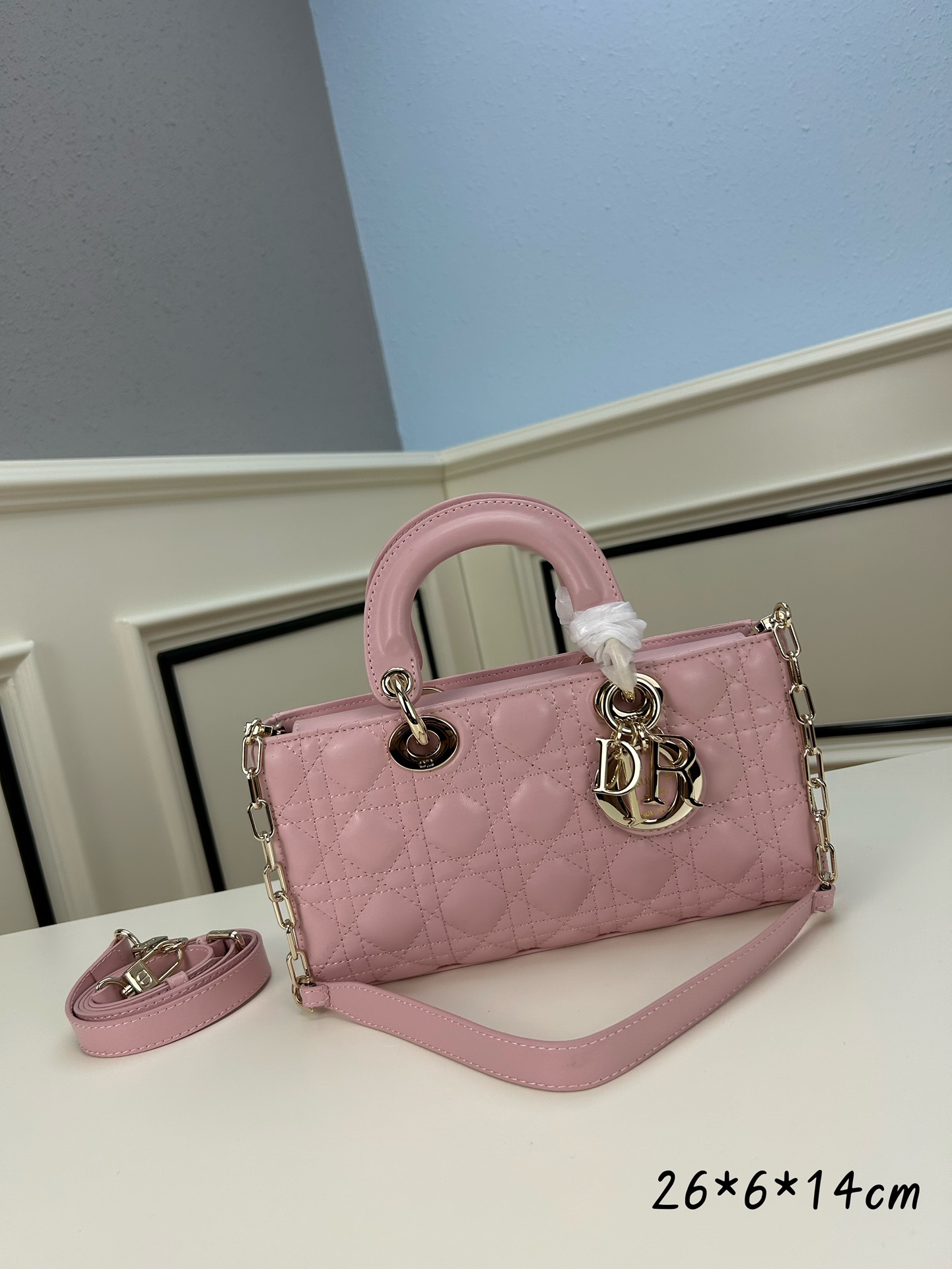 Dior Bag