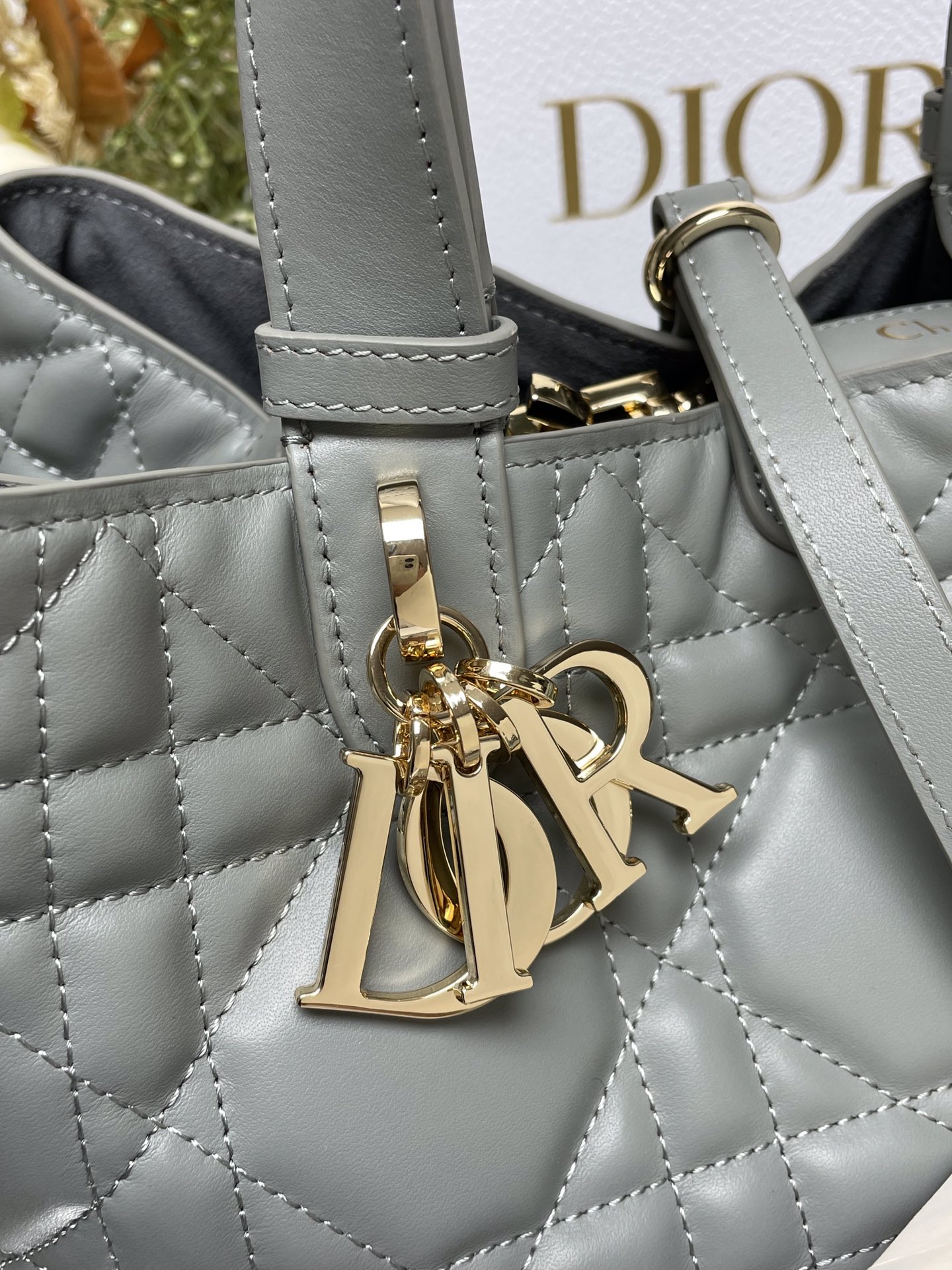 Dior Bag