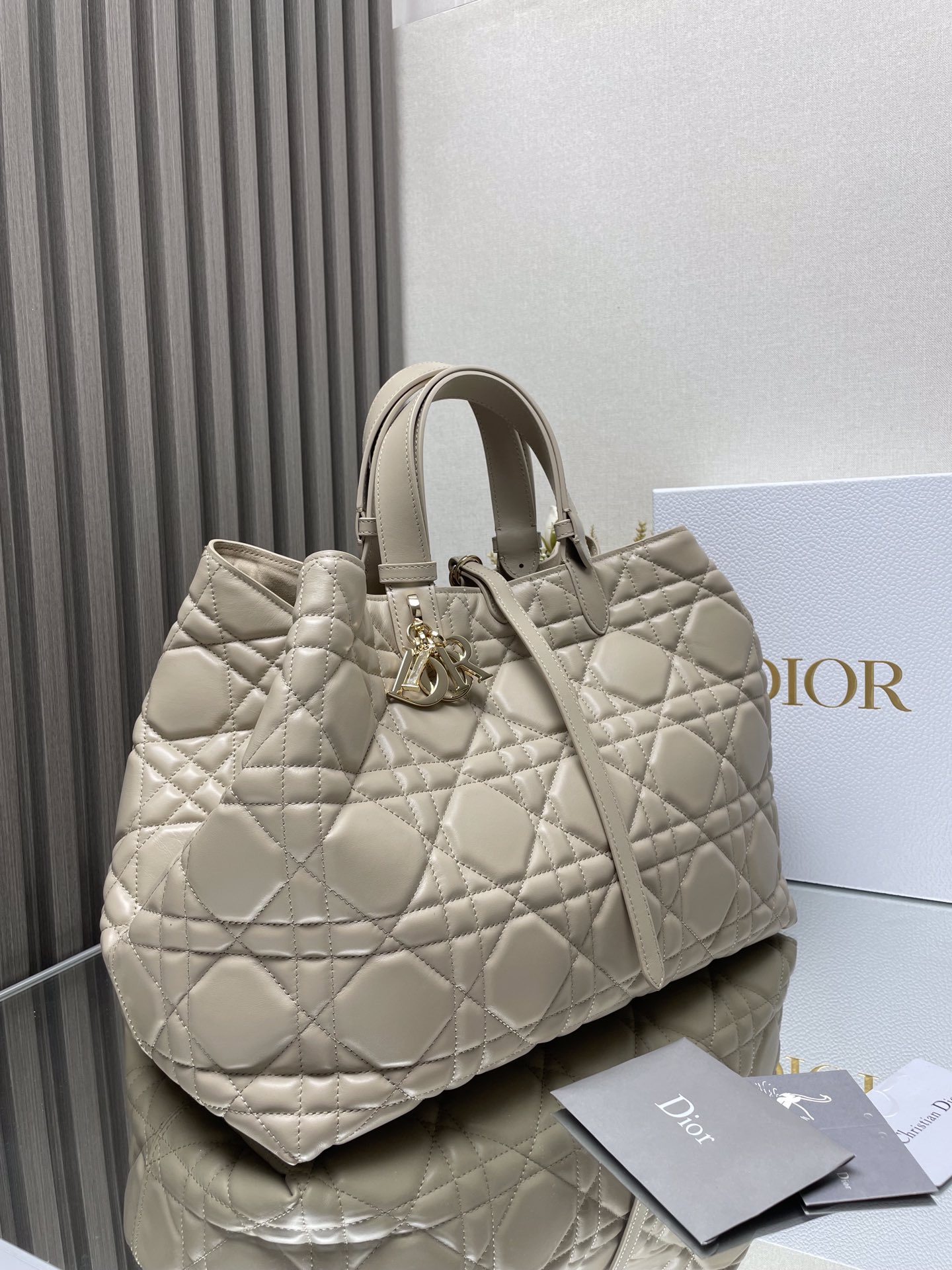 Dior Bag