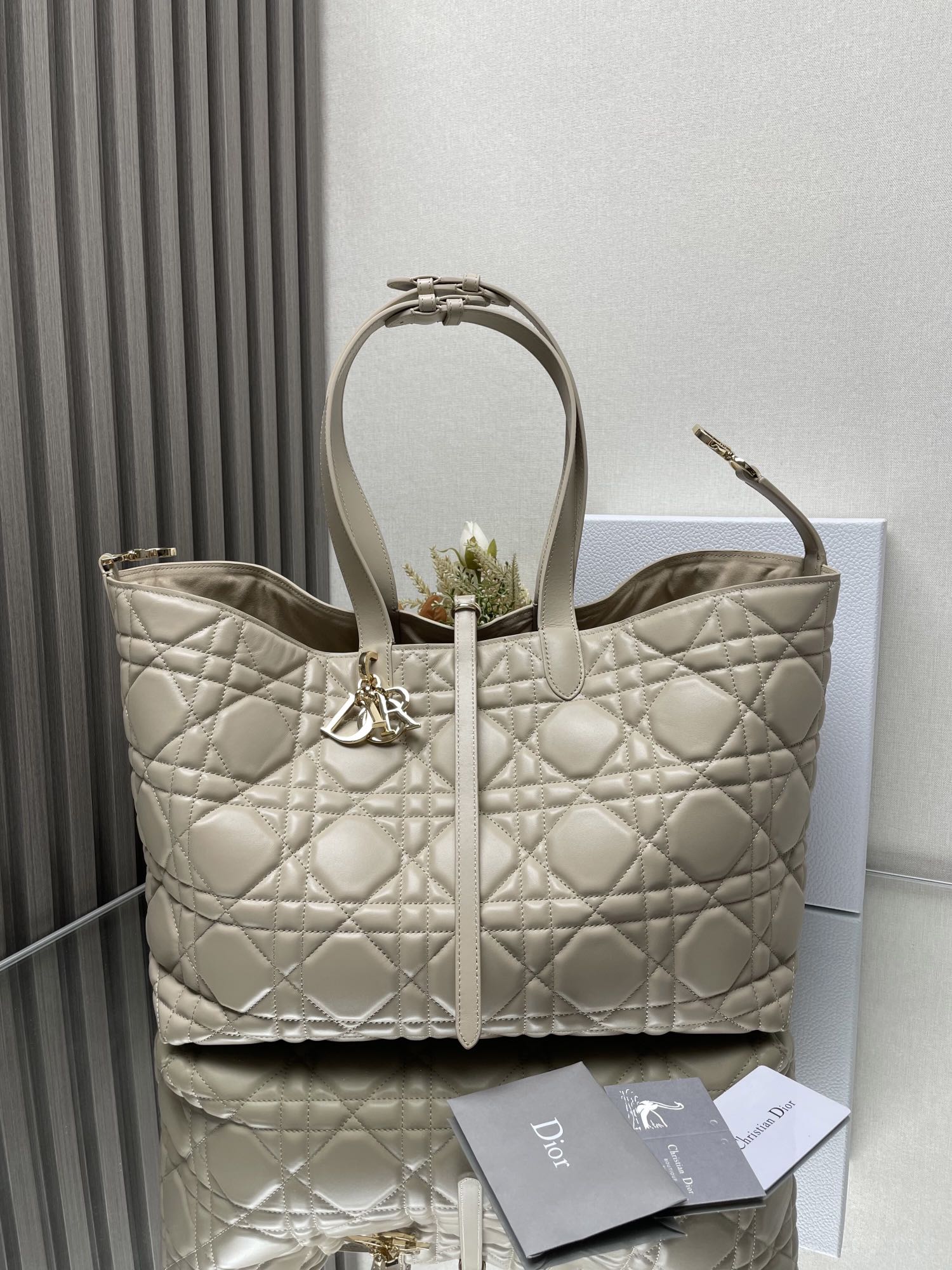 Dior Bag