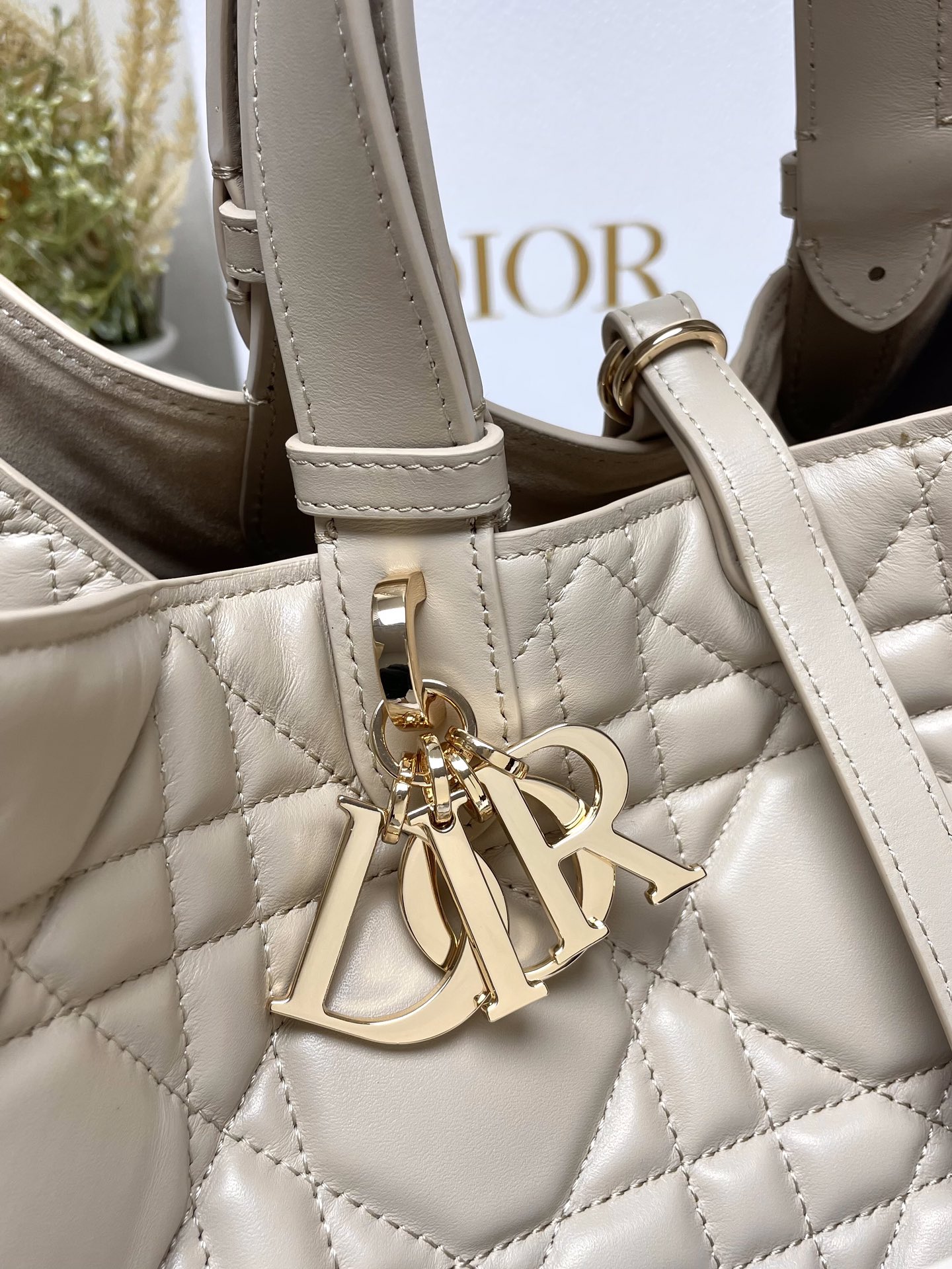 Dior Bag