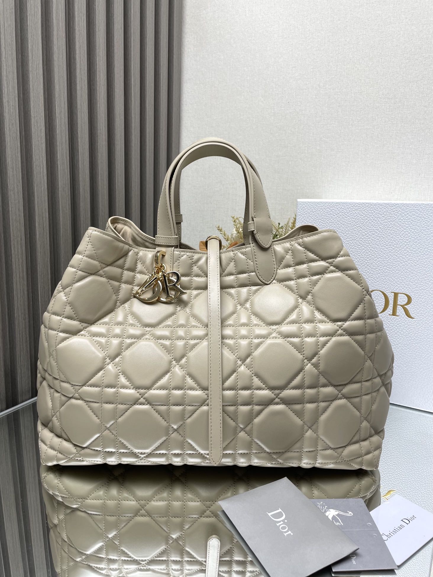 Dior Bag