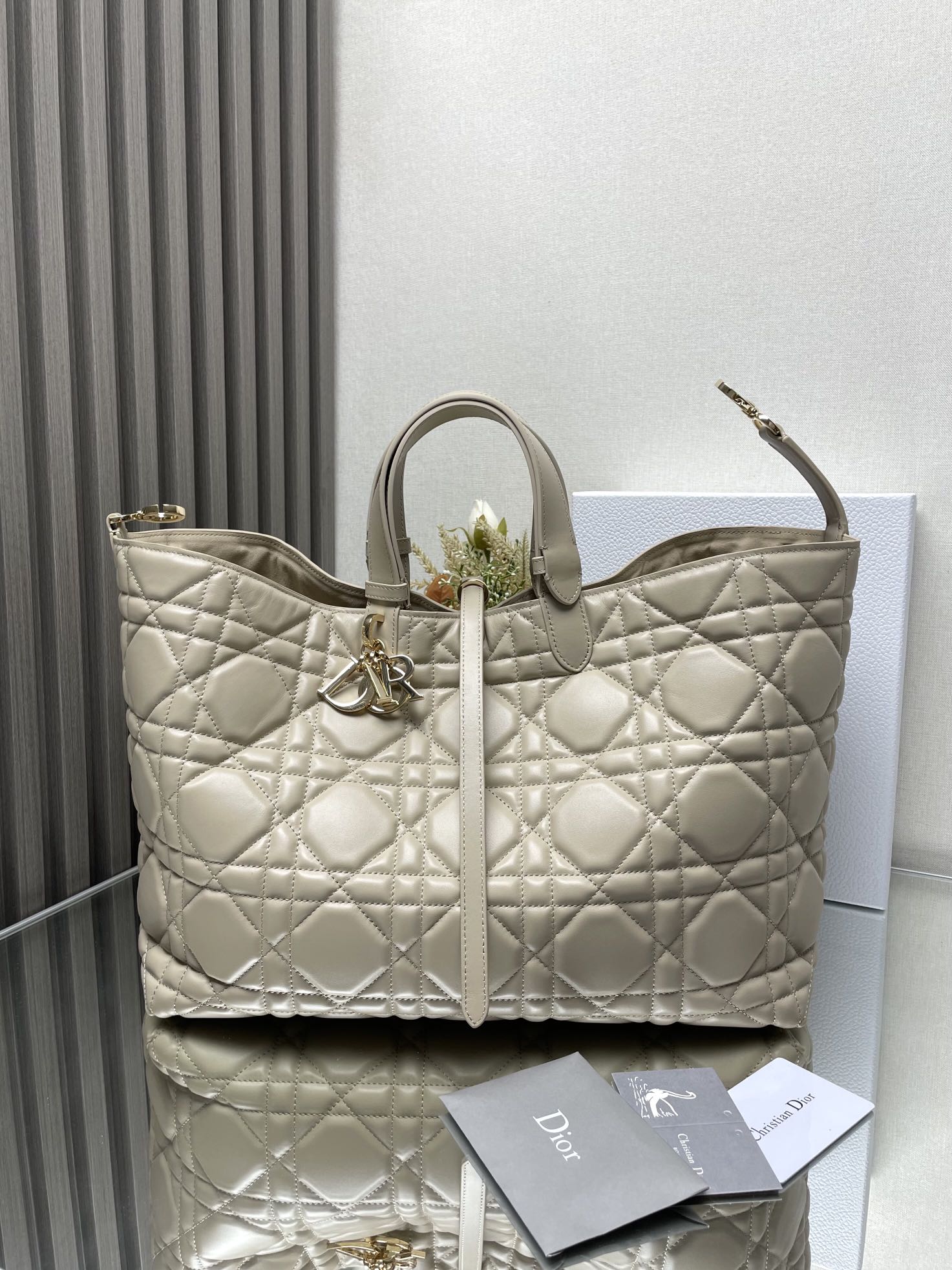 Dior Bag