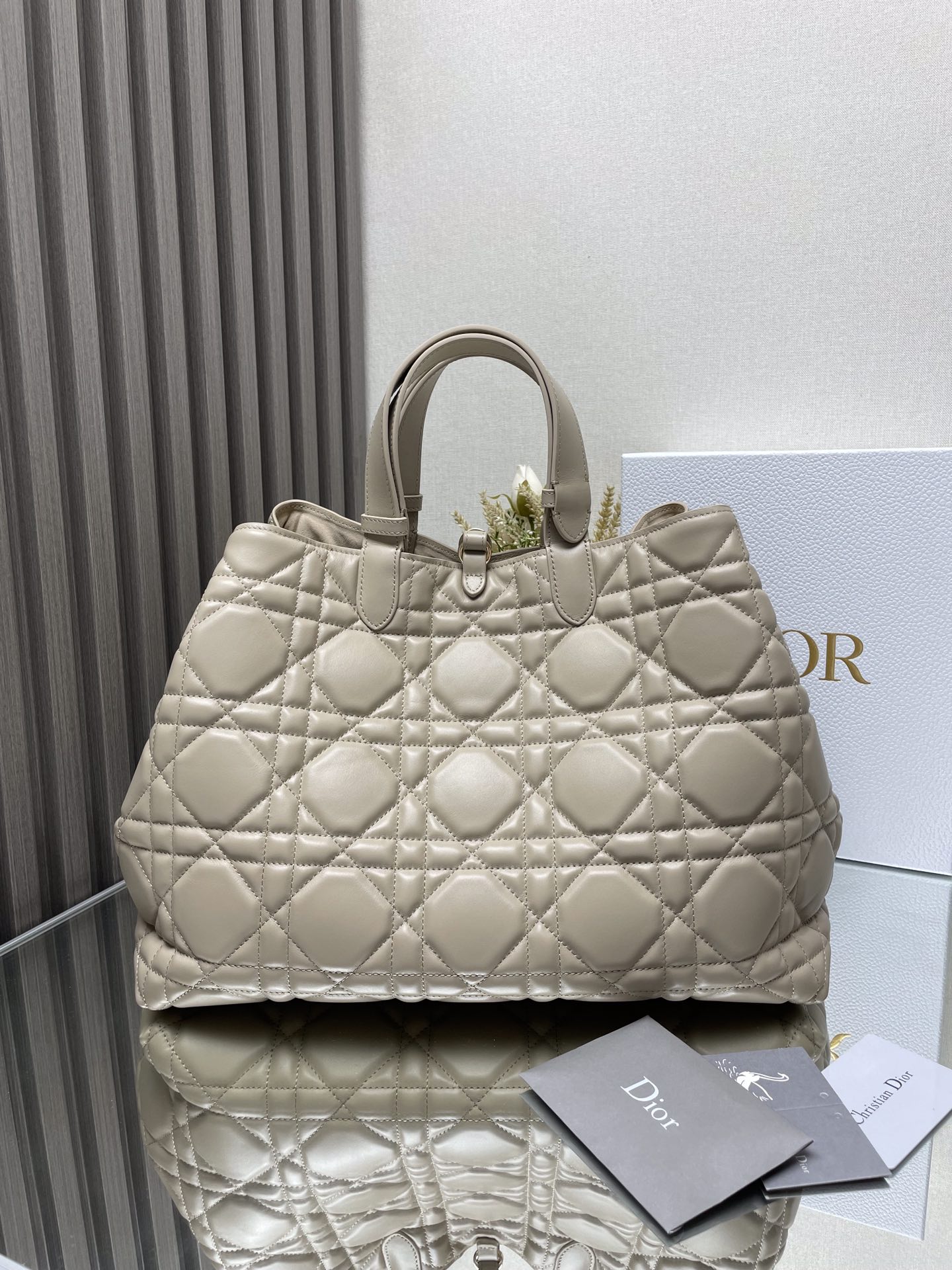 Dior Bag
