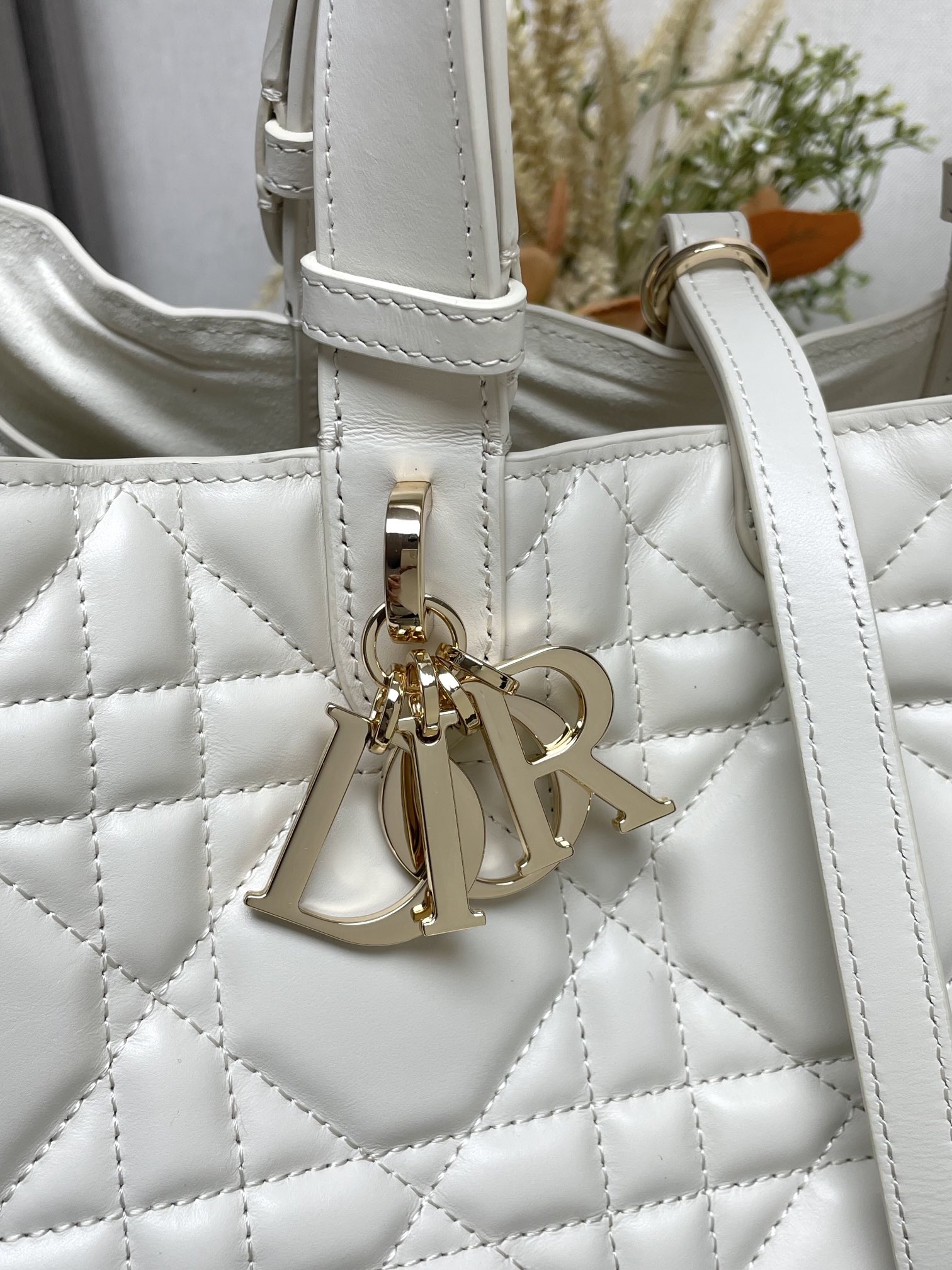 Dior Bag