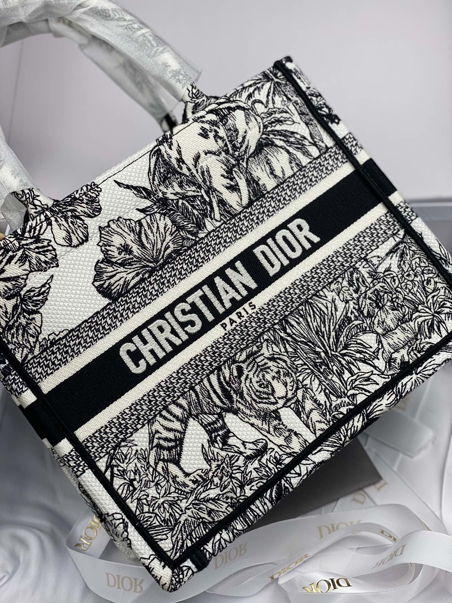 Dior Bag