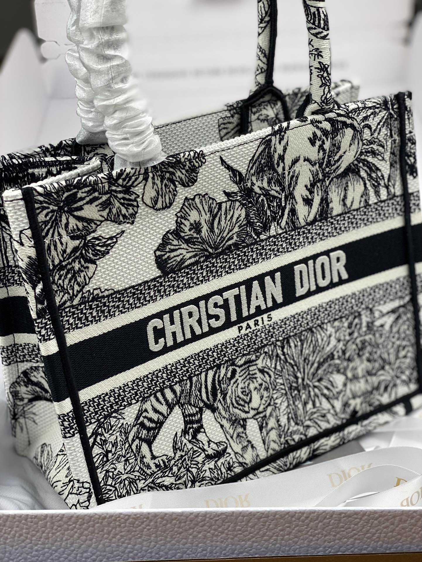 Dior Bag