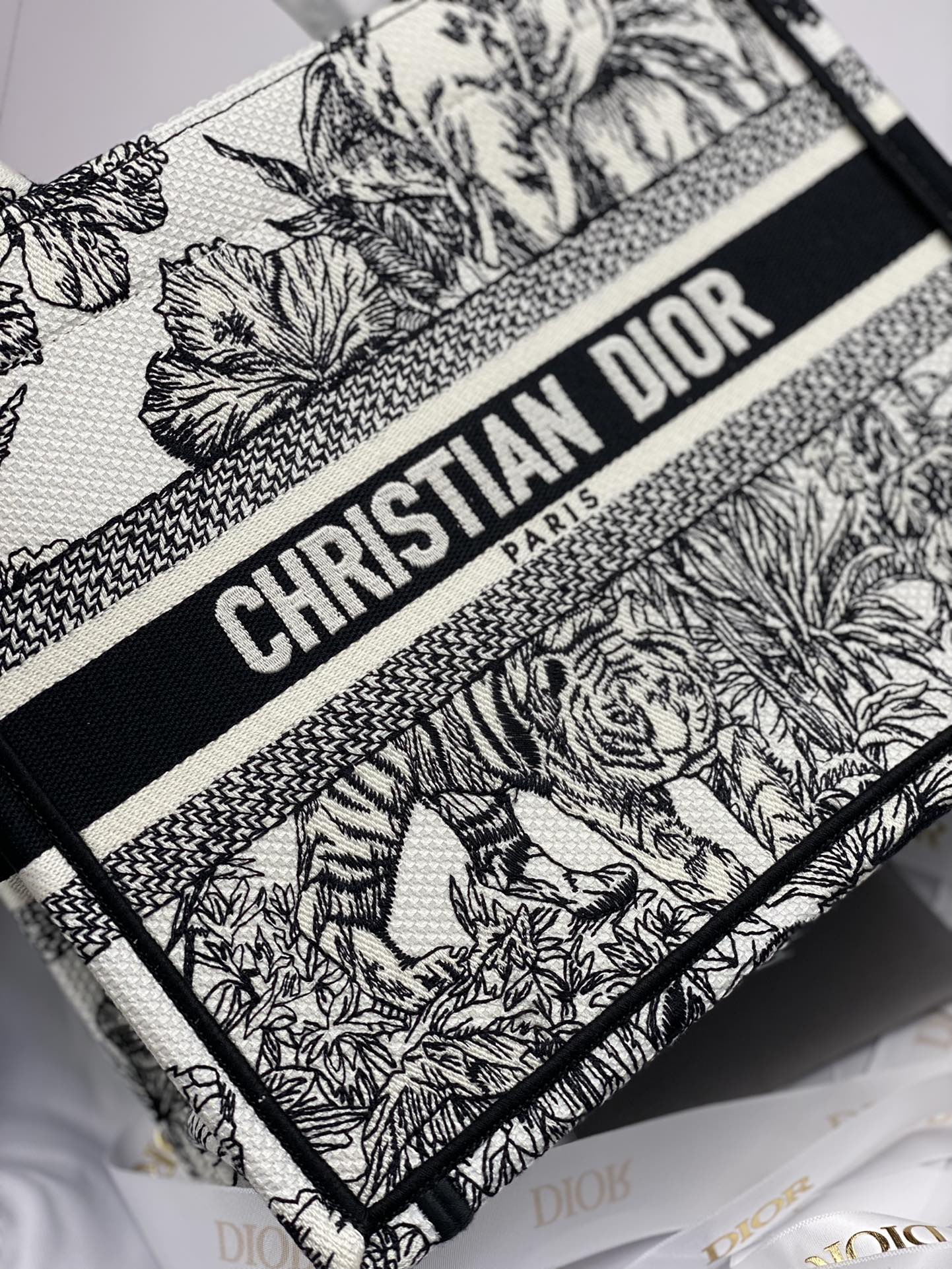Dior Bag