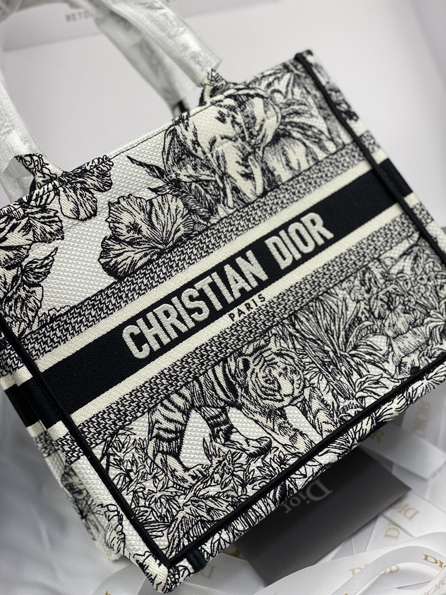 Dior Bag