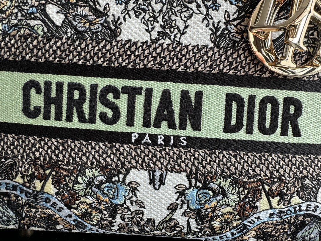 Dior Bag