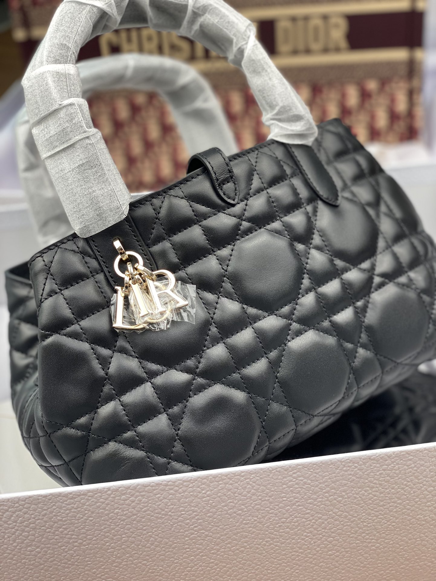 Dior Bag