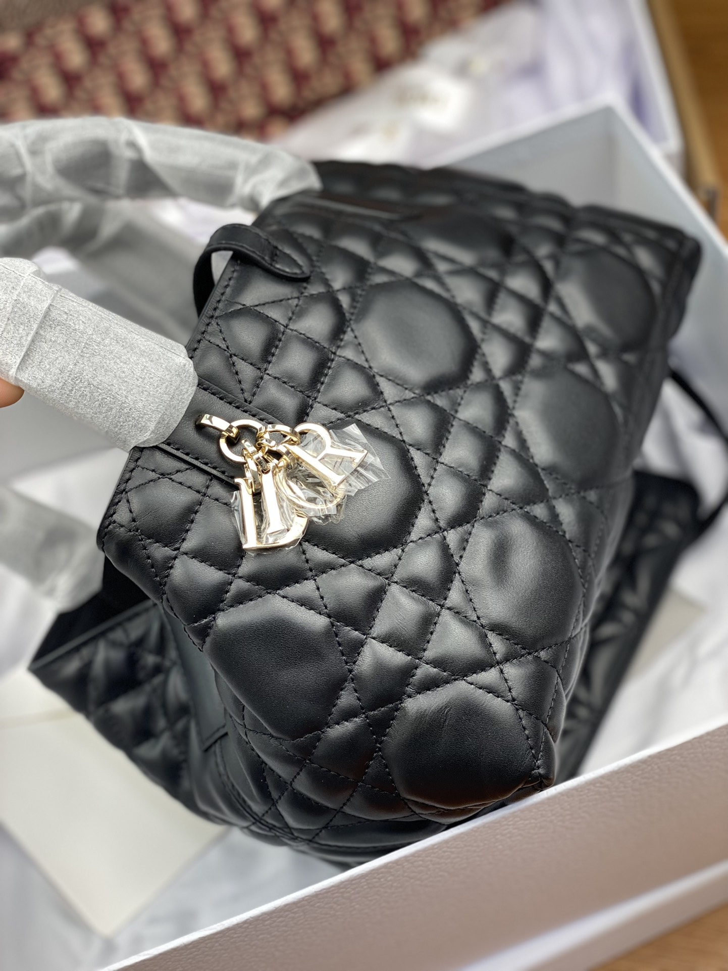 Dior Bag