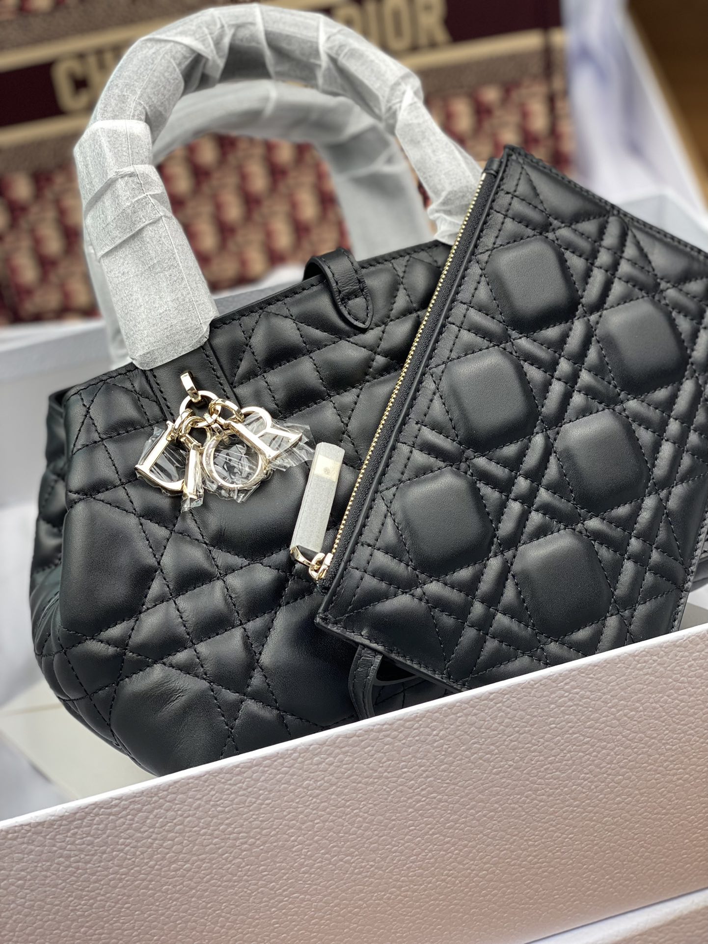 Dior Bag