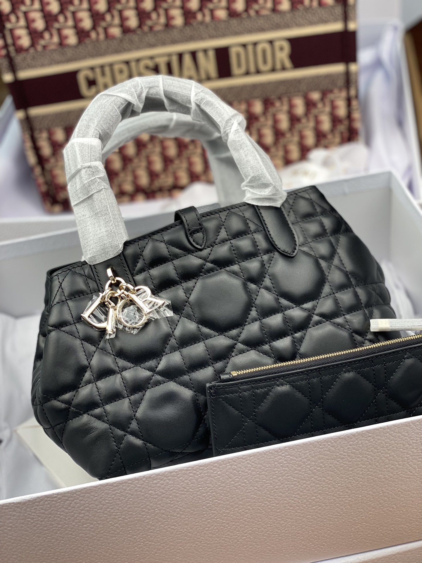 Dior Bag