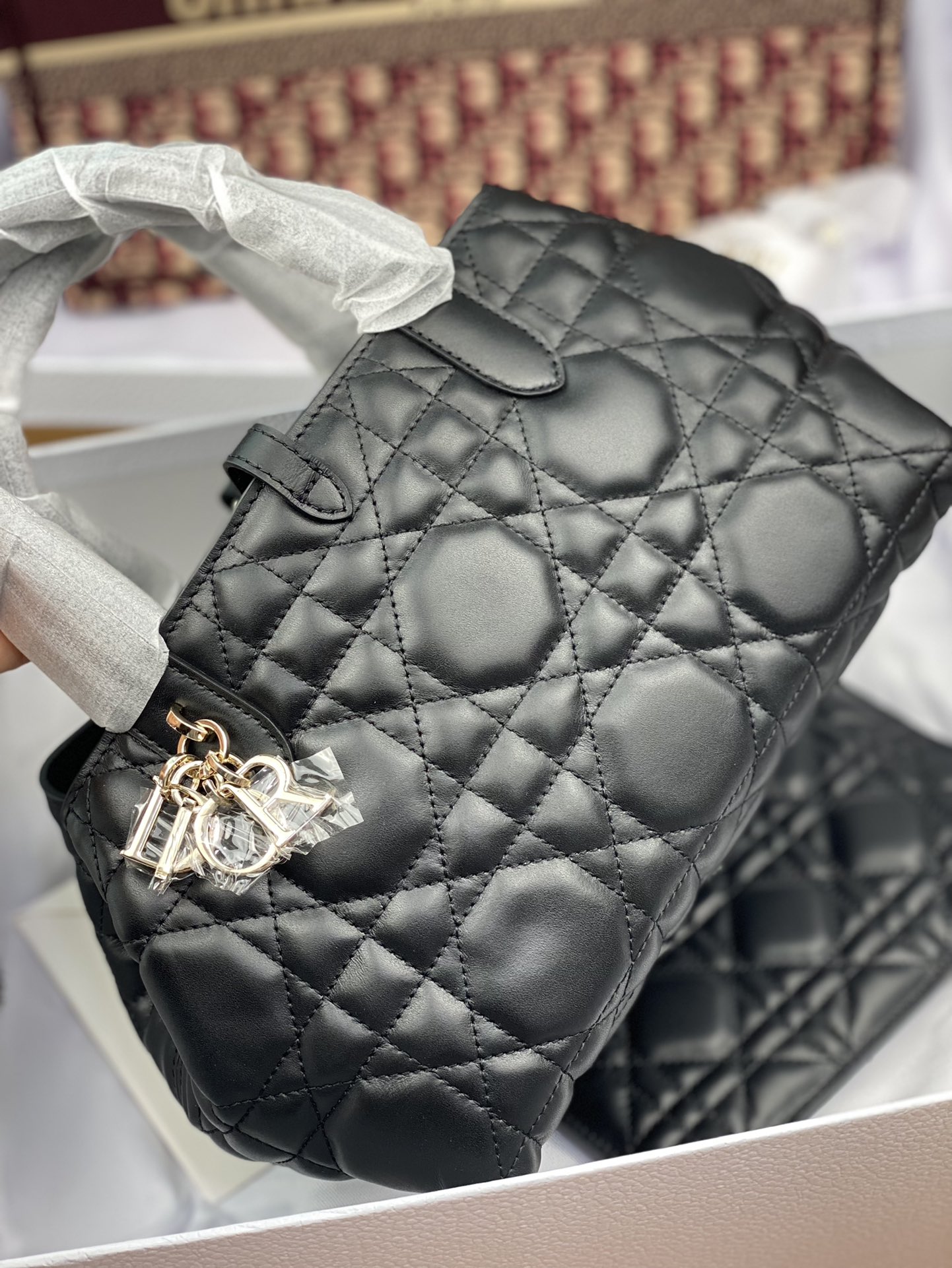 Dior Bag