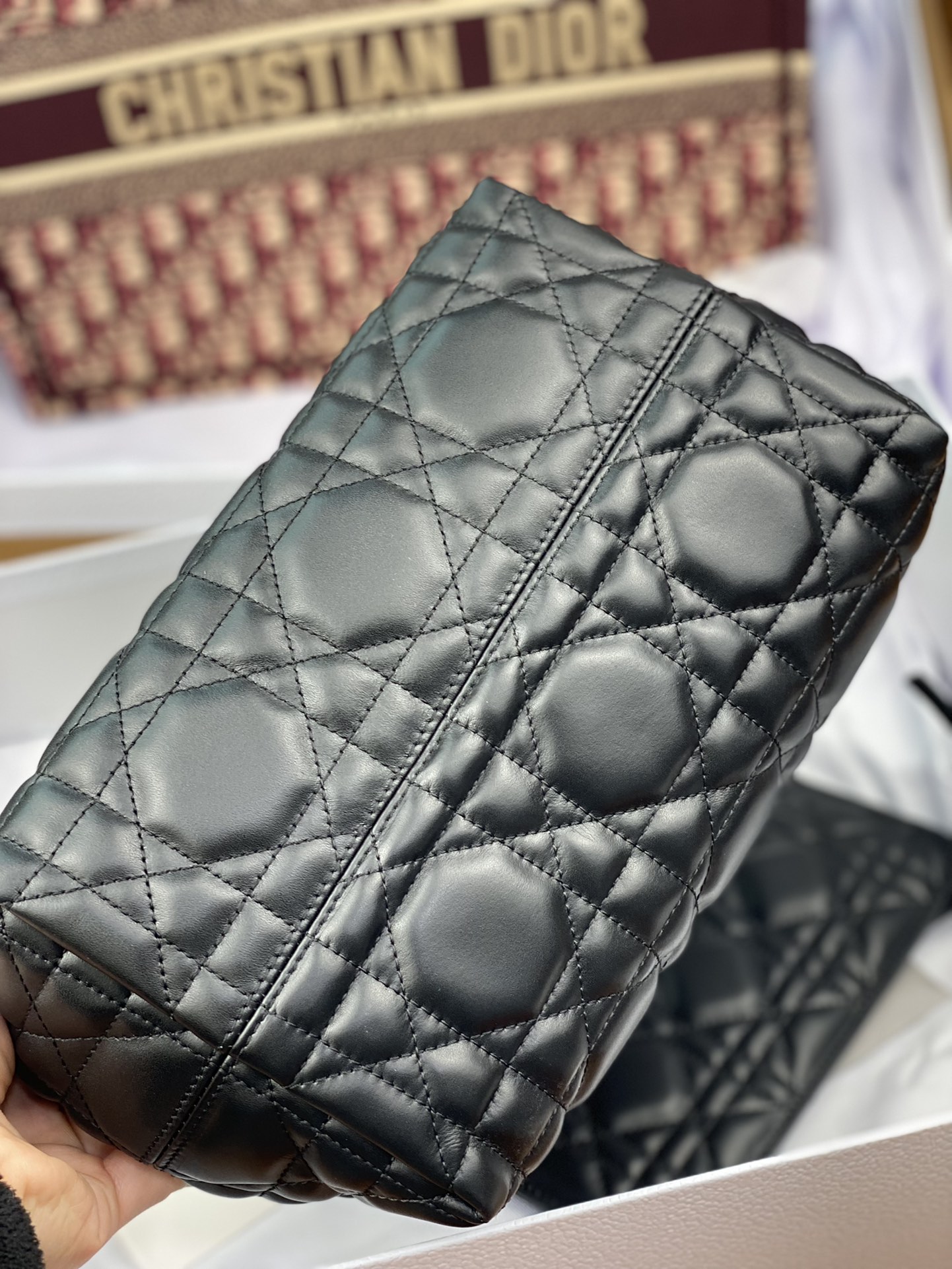 Dior Bag