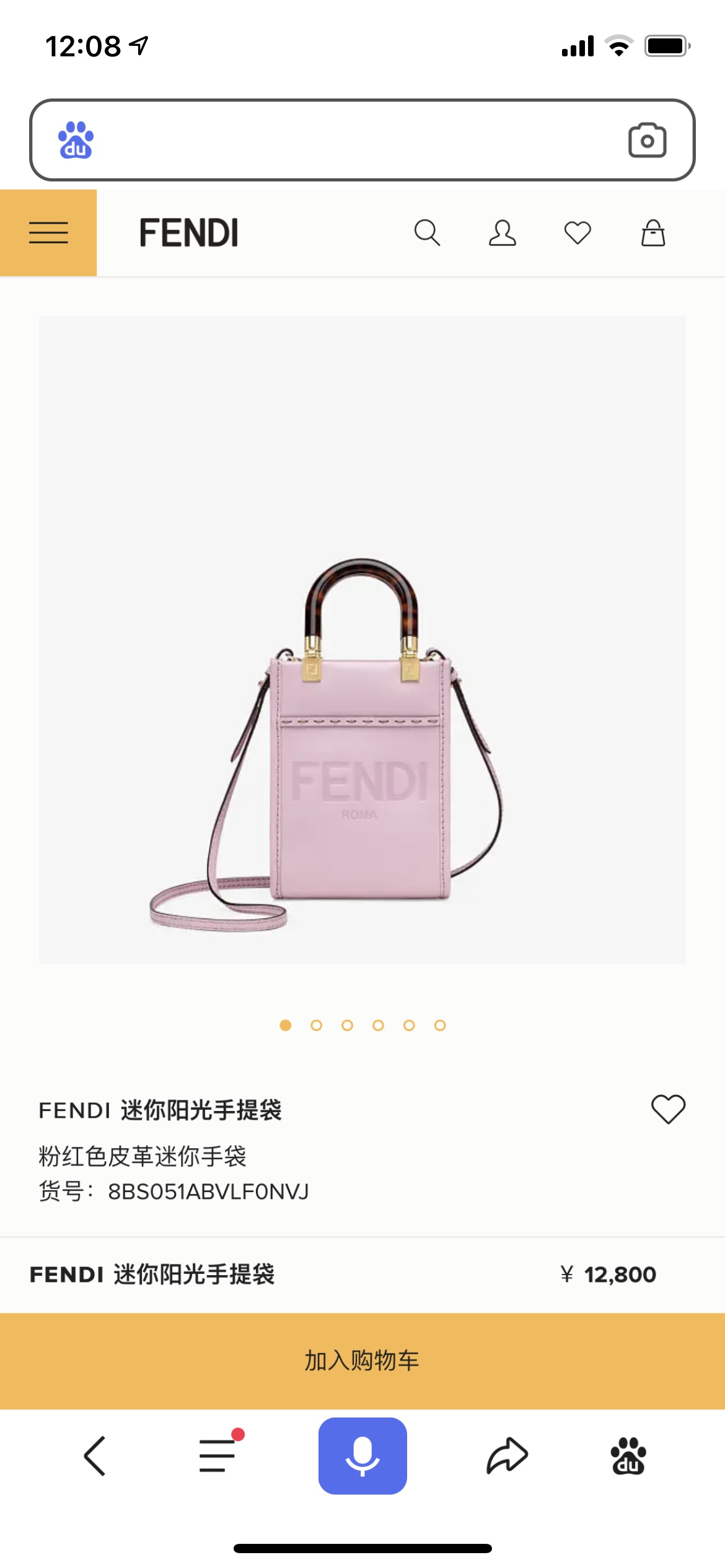 Fendi Bag