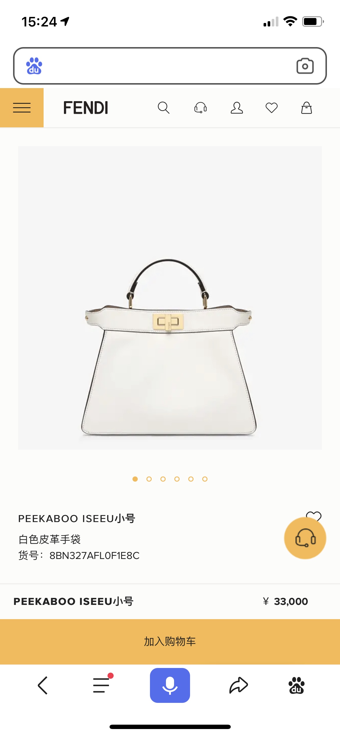 Fendi Bag