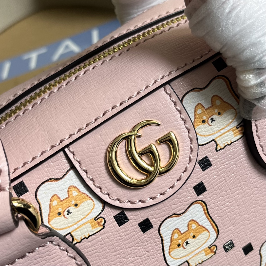 Gucci Bag