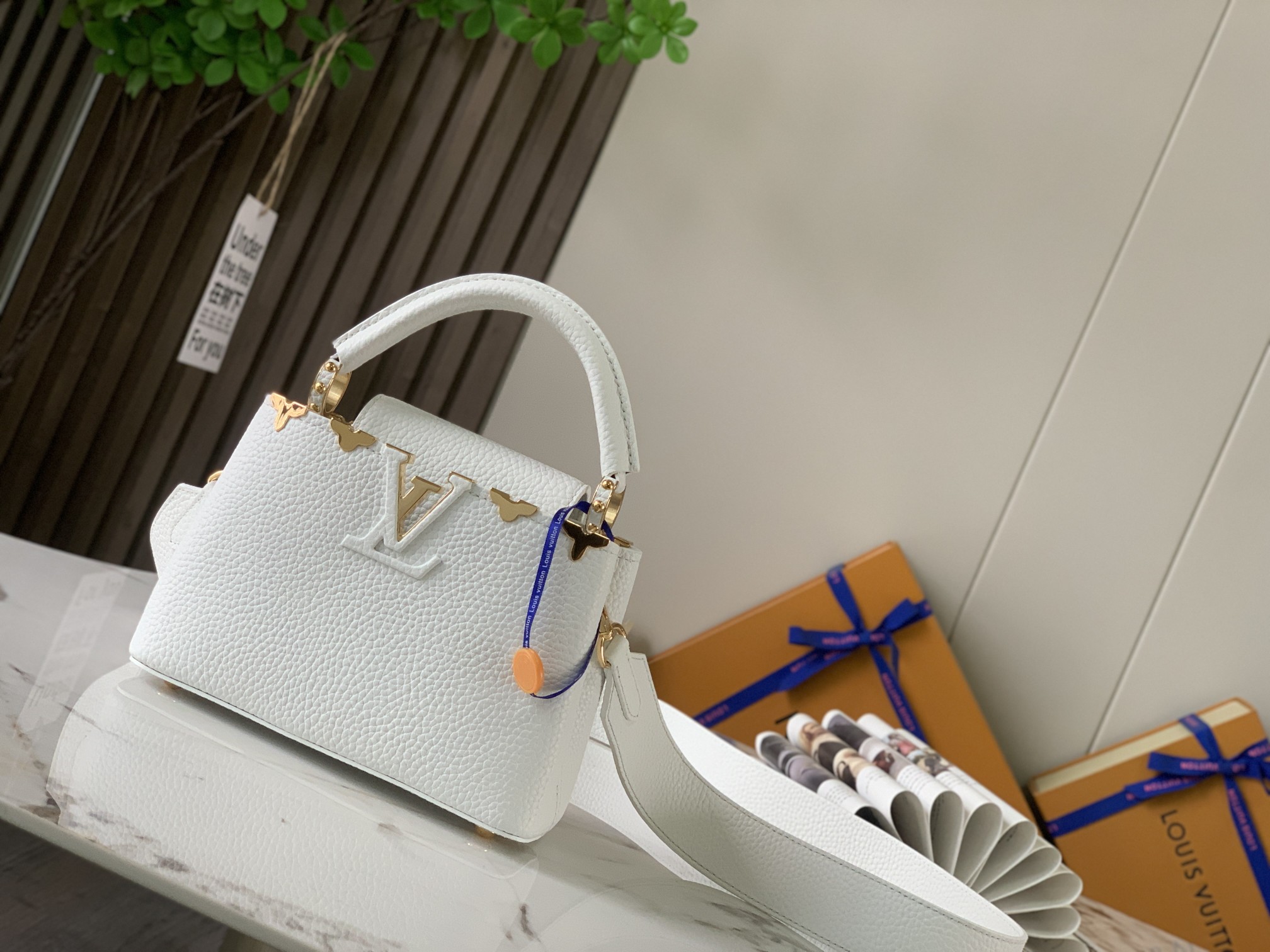 LV Bag