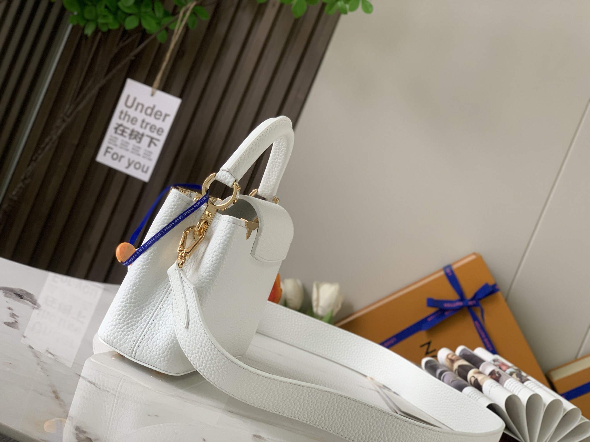 LV Bag