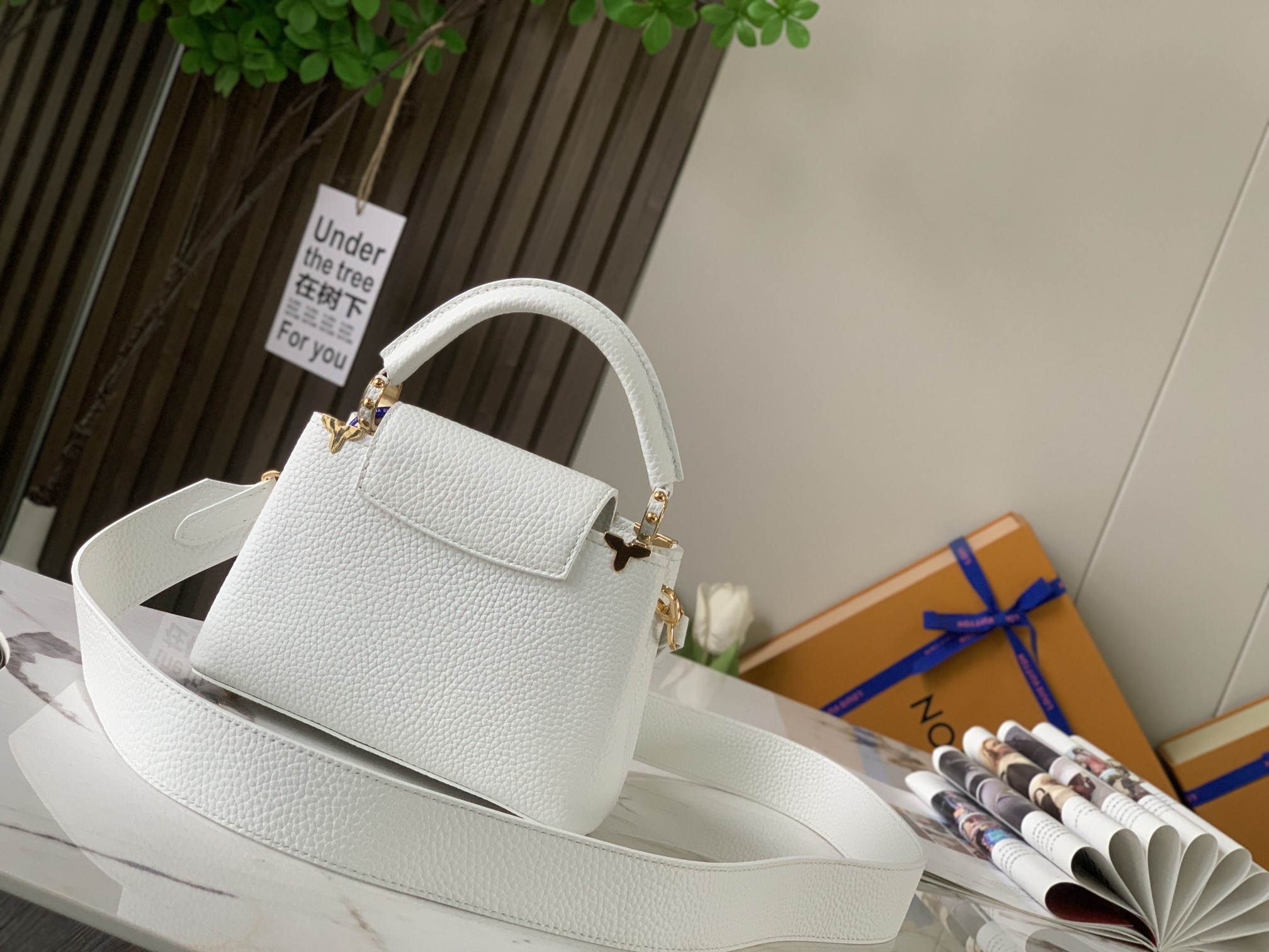 LV Bag