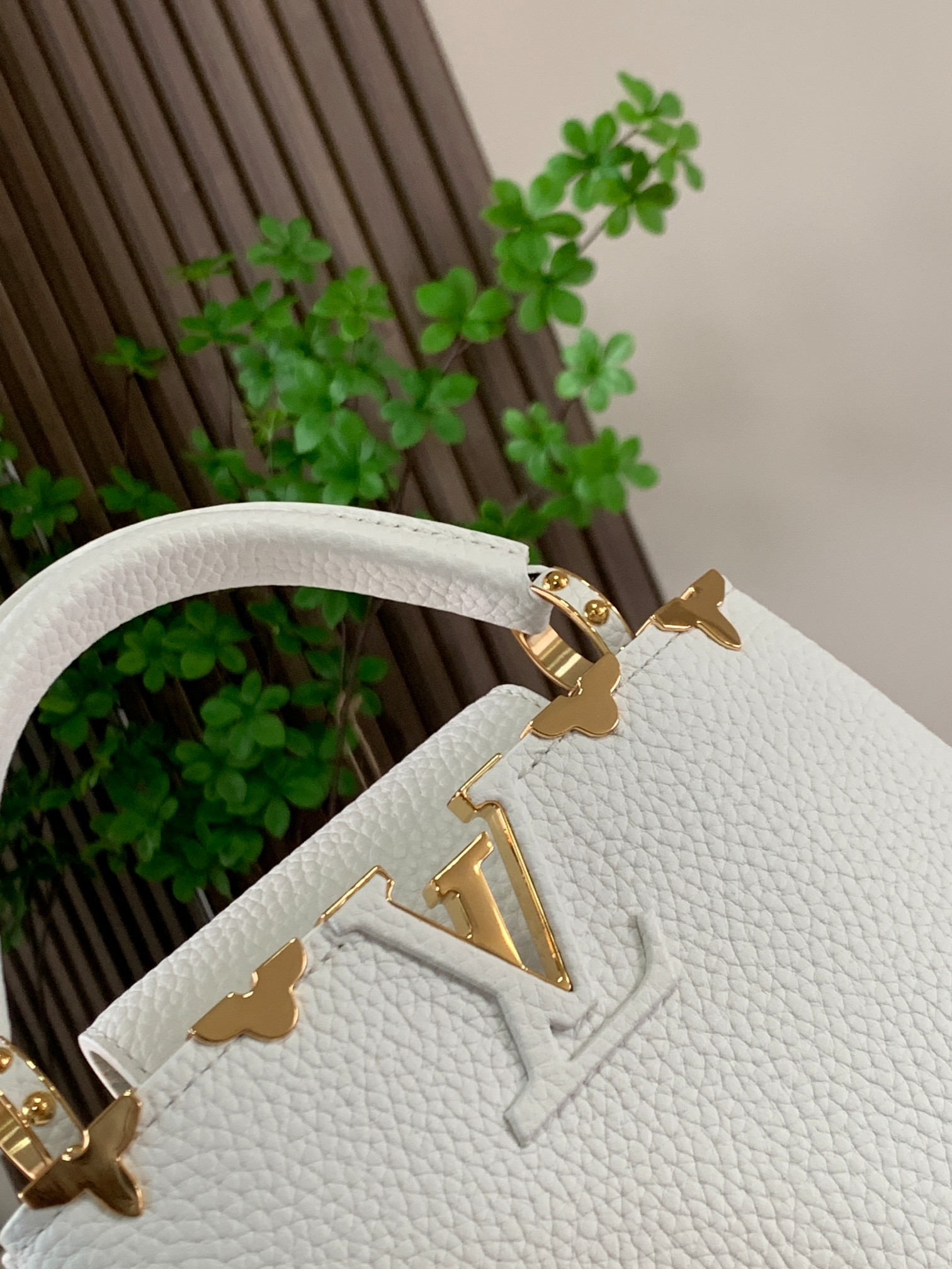 LV Bag